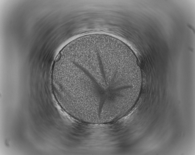 X0000094791534200712071216