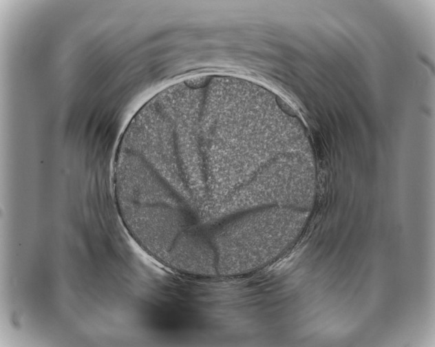 X0000094791535200712071216