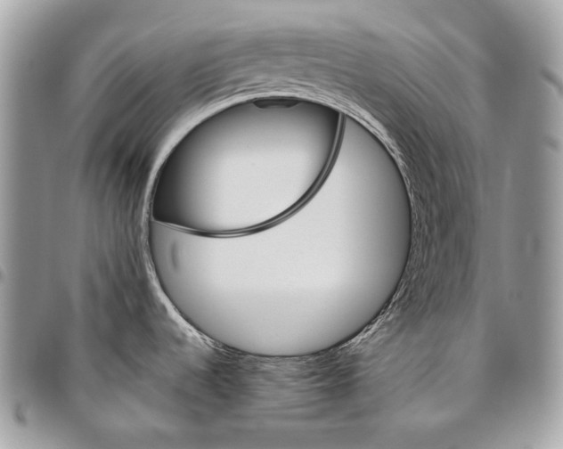 X0000094791536200712071216