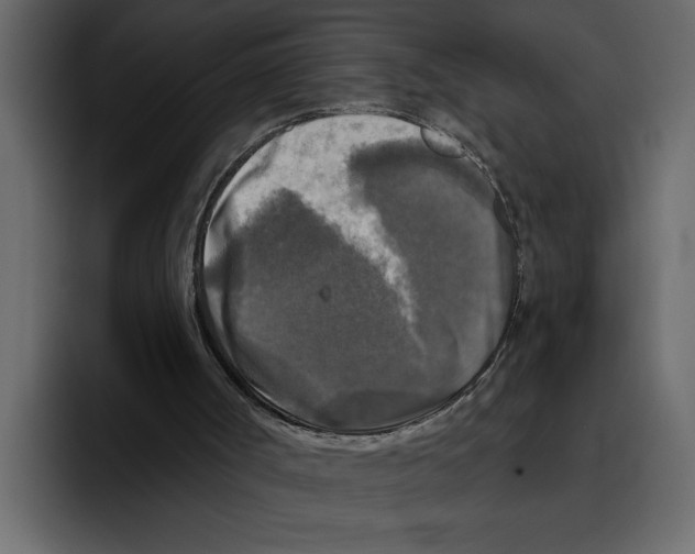 X0000094790002200712141647