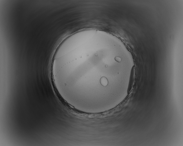 X0000094790003200712141647