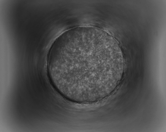 X0000094790005200712141647