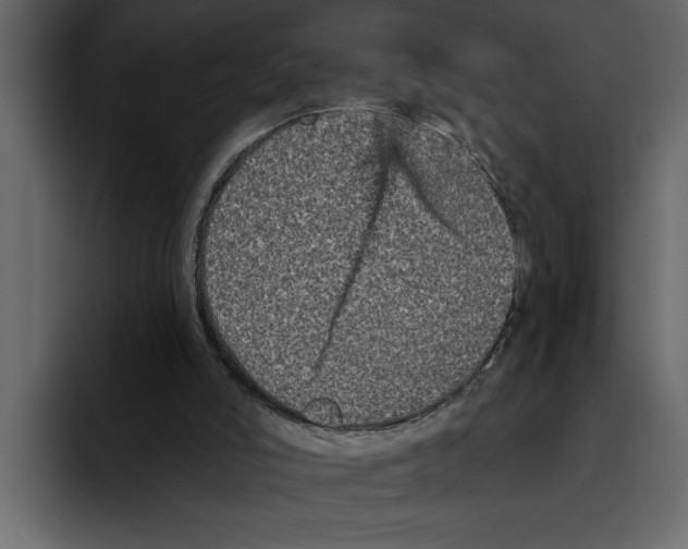 X0000094790006200712141647