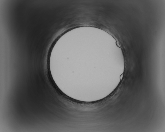 X0000094790008200712141647