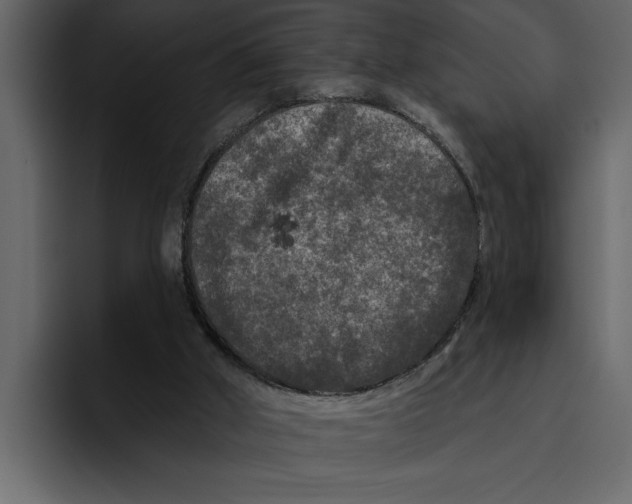 X0000094790010200712141647