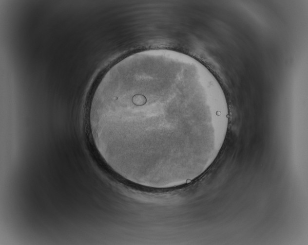 X0000094790012200712141647