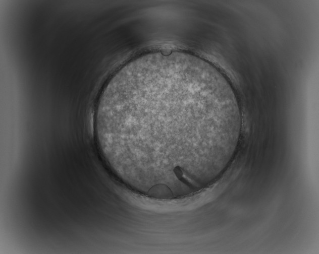 X0000094790014200712141647