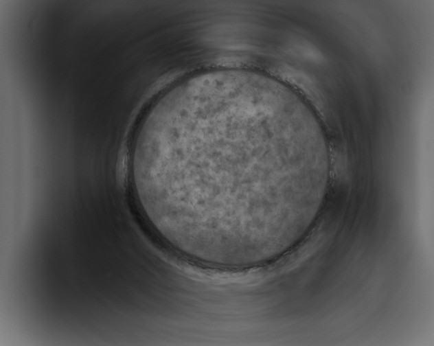 X0000094790016200712141647