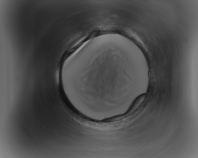 X0000094790019200712141647