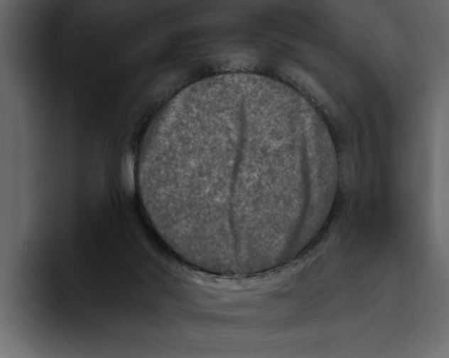 X0000094790022200712141647