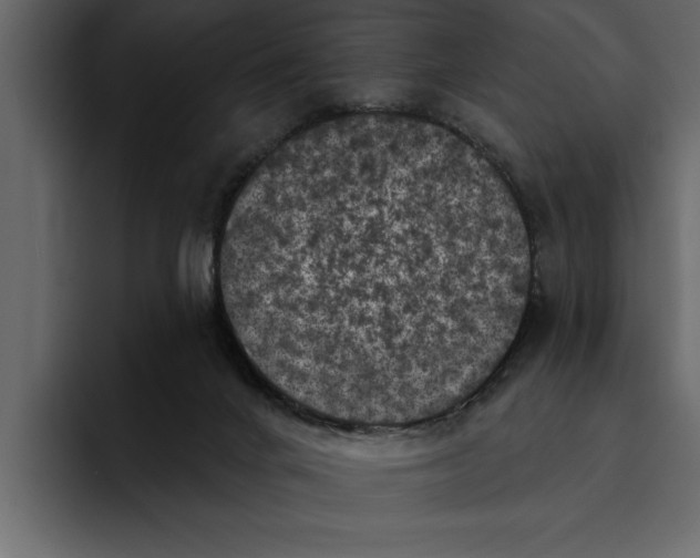 X0000094790024200712141647