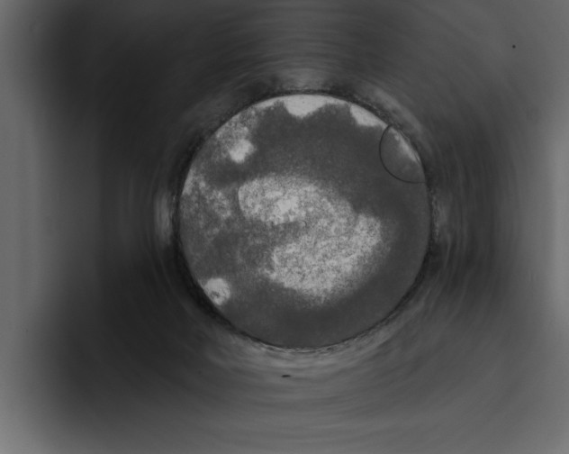 X0000094790026200712141647