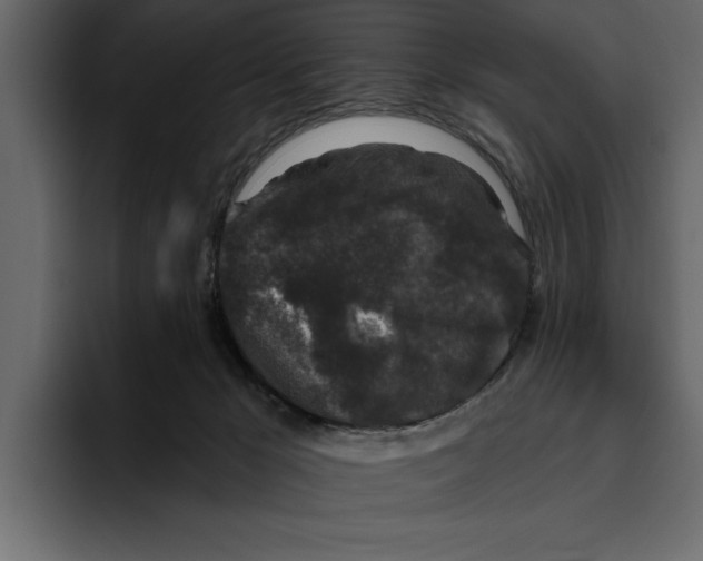 X0000094790029200712141647