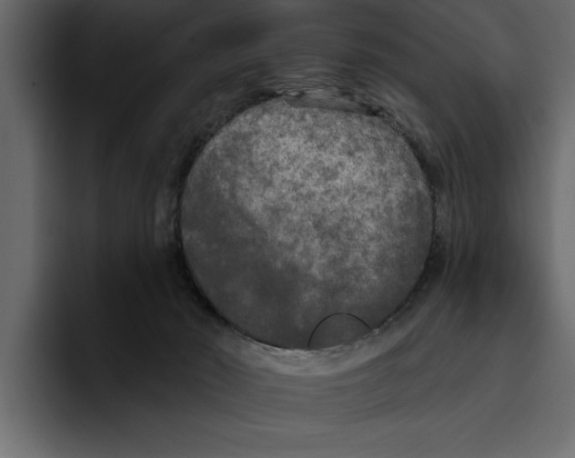 X0000094790030200712141647