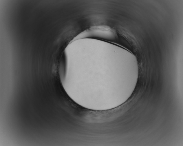 X0000094790033200712141647