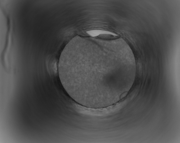 X0000094790042200712141647