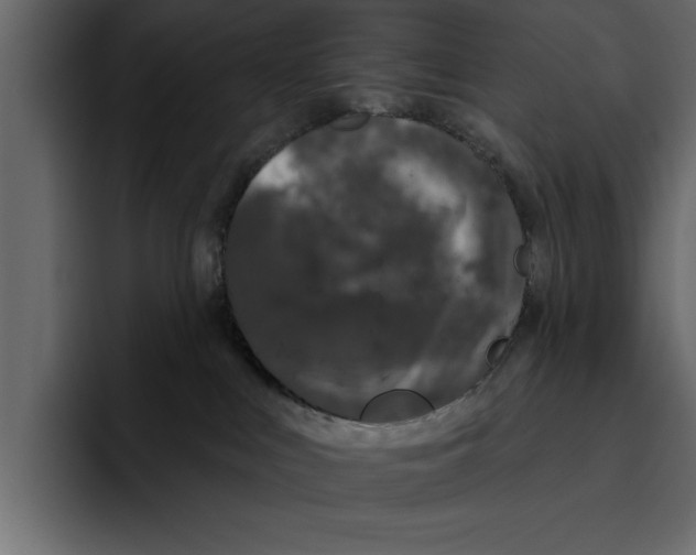 X0000094790043200712141647