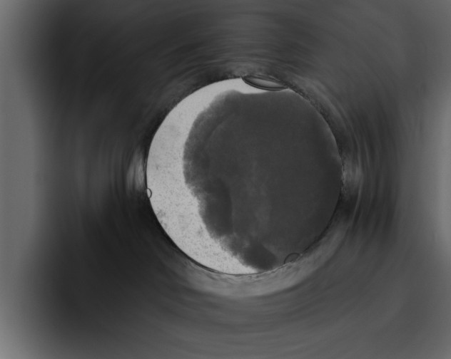 X0000094790046200712141647