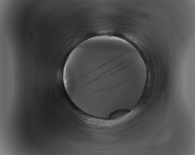 X0000094790048200712141647