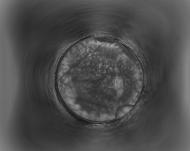 X0000094790049200712141646