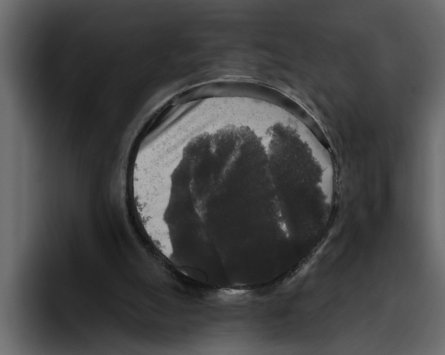 X0000094790055200712141646