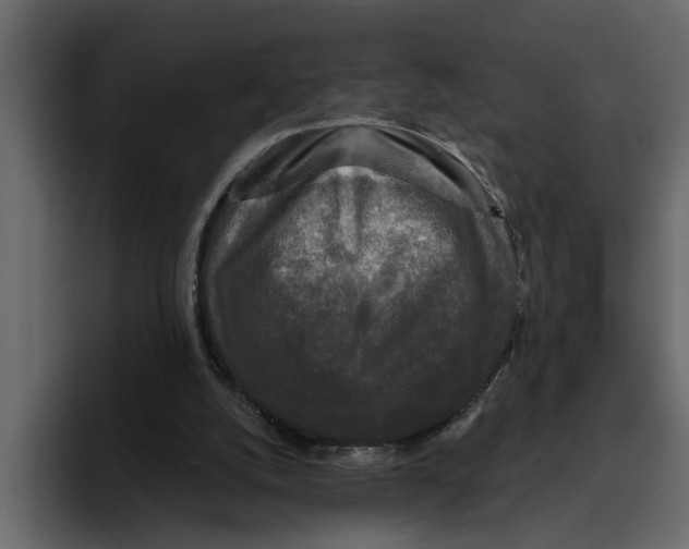 X0000094790056200712141646