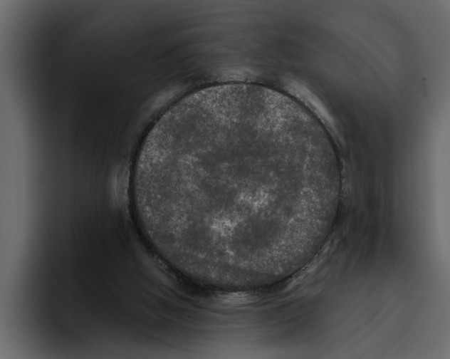 X0000094790058200712141646