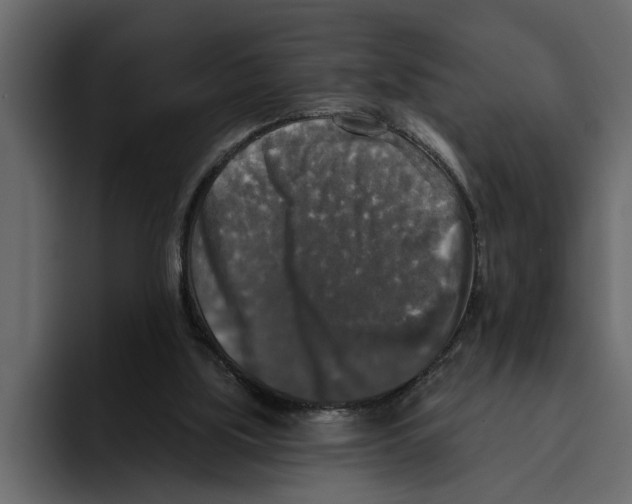 X0000094790059200712141646