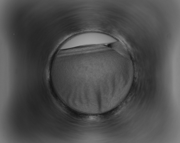 X0000094790060200712141646