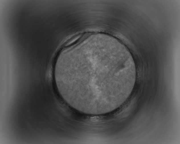 X0000094790064200712141646