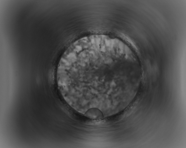 X0000094790065200712141646