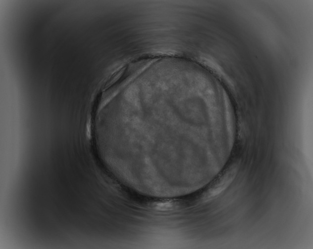 X0000094790068200712141646