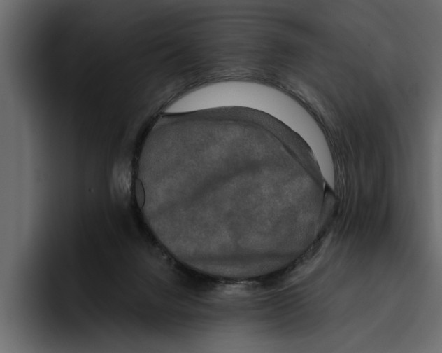 X0000094790072200712141646