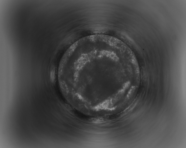 X0000094790074200712141646