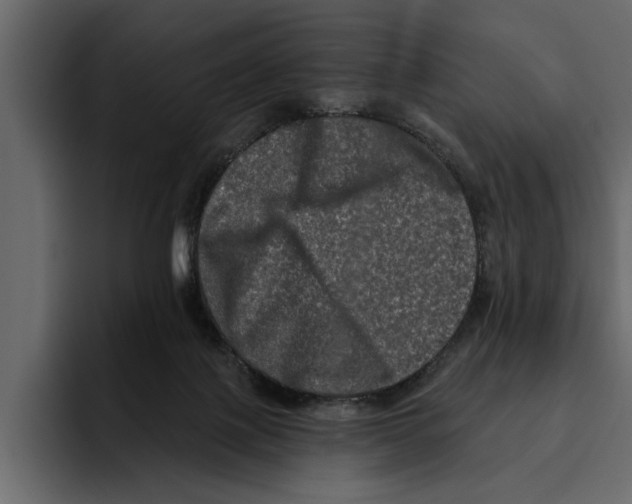 X0000094790075200712141646