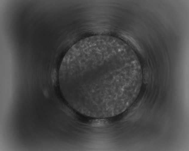 X0000094790077200712141646