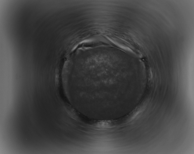 X0000094790080200712141646