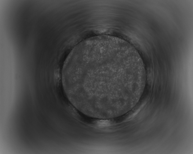 X0000094790085200712141646