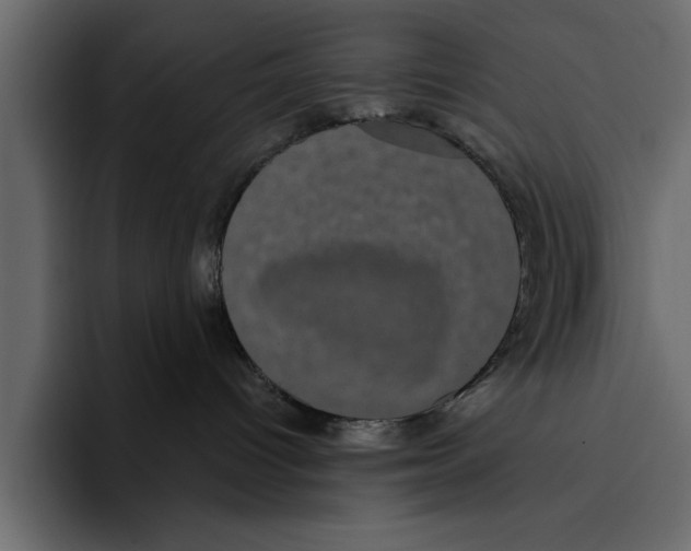 X0000094790096200712141647