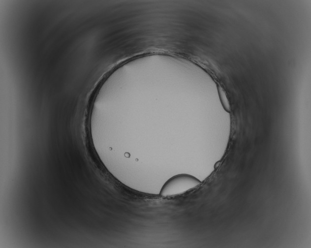 X0000094790098200712141646