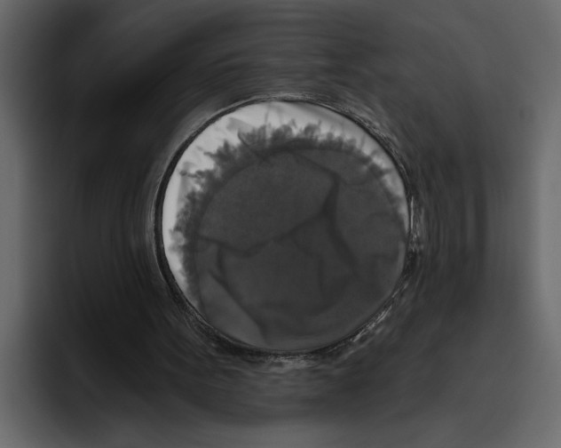 X0000094790099200712141646