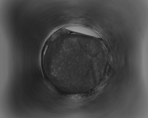 X0000094790100200712141646