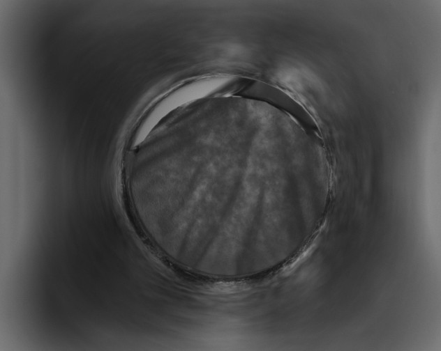 X0000094790101200712141646