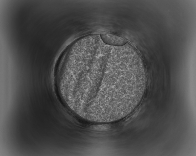 X0000094790102200712141646