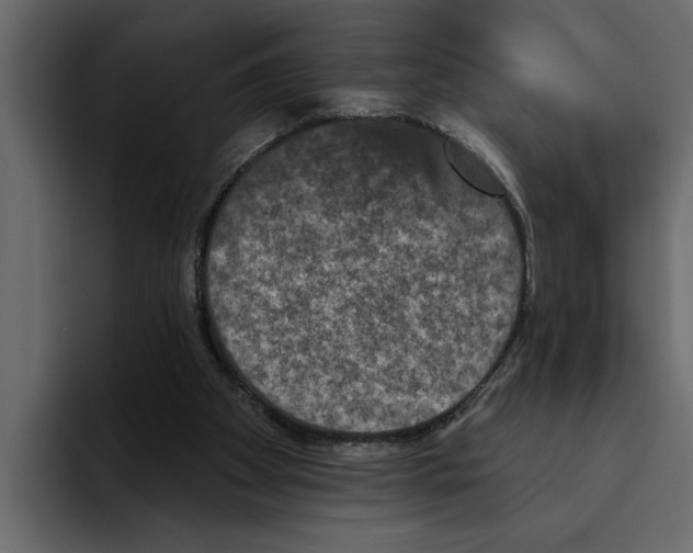 X0000094790105200712141646