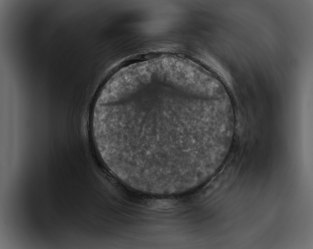 X0000094790107200712141646