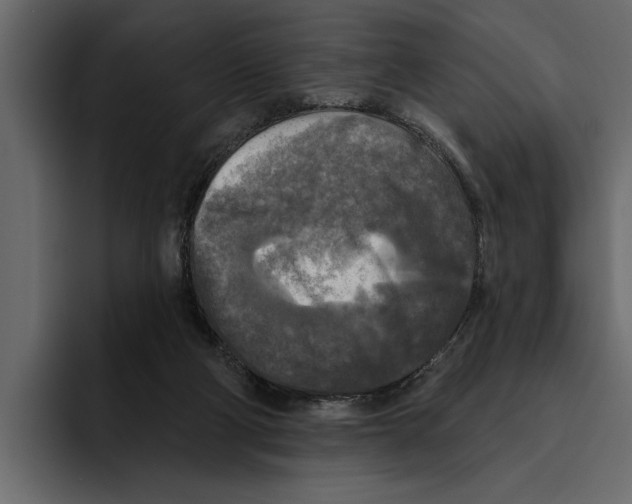 X0000094790114200712141646