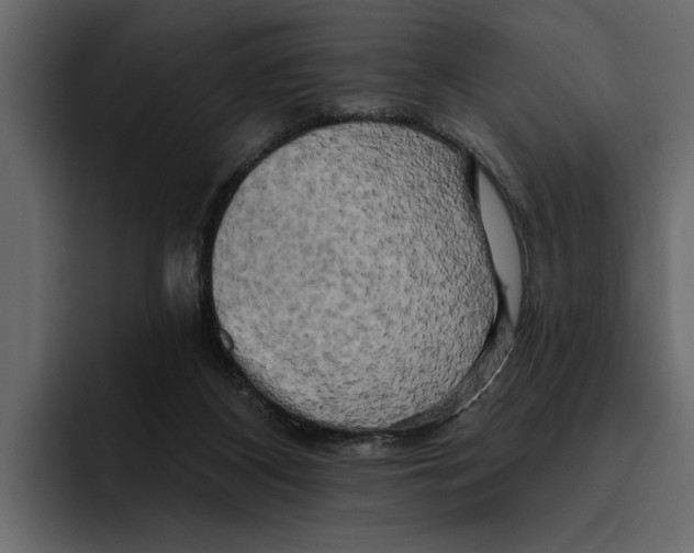 X0000094790116200712141646