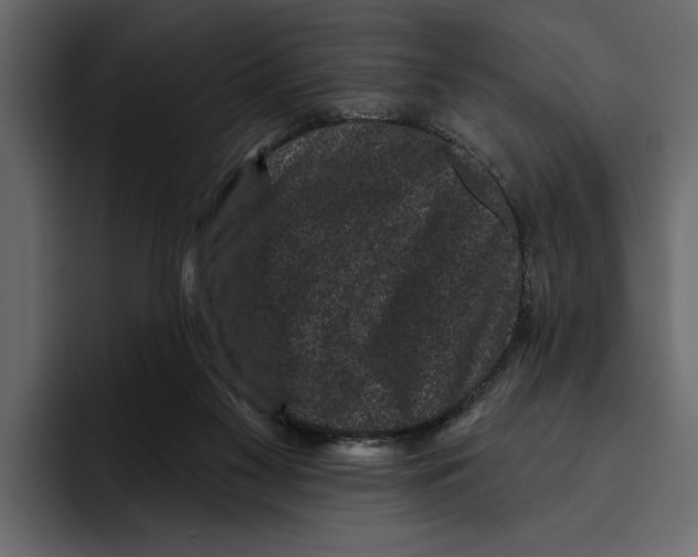 X0000094790117200712141646