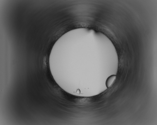 X0000094790122200712141646